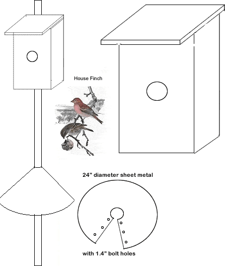 House Finch Nest Box