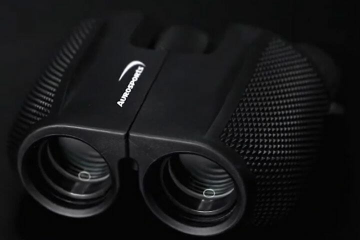 Best Compact Binoculars for Wildlife Viewing