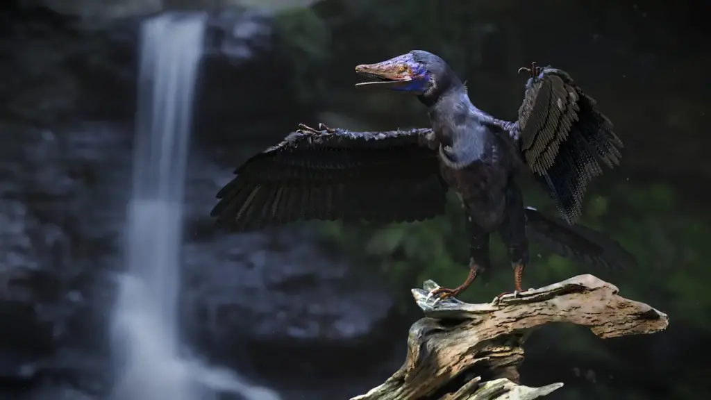 Archaeopteryx Bird-like Dinosaur Near A Waterfall
