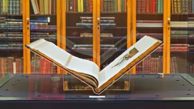 Asian Books About Birds