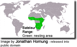 Bateleur (Terathopius ecaudatus) - natural range map