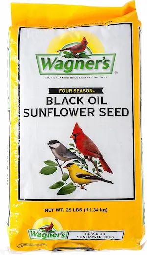 Black Oil Sunflower Bird Seed