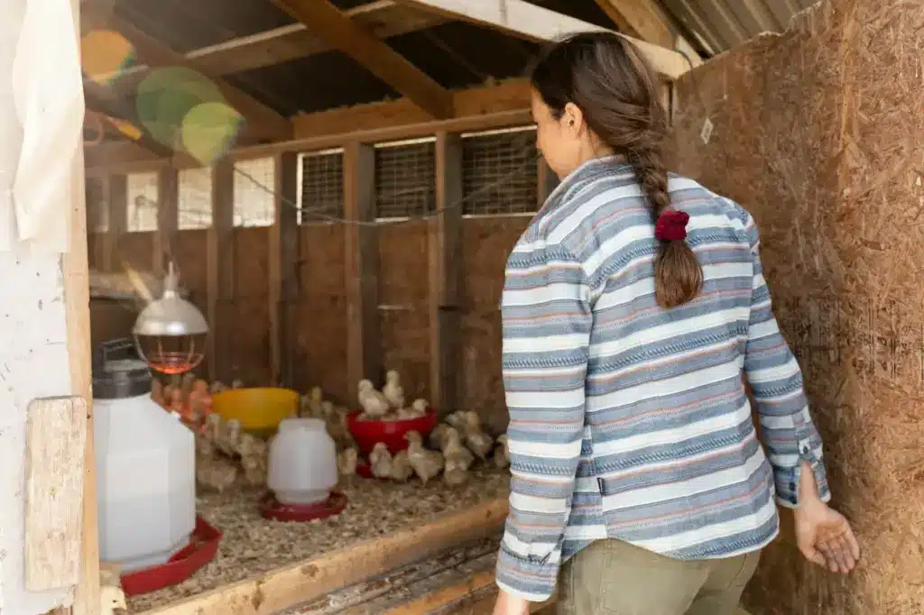 A Girl Standing near the Chicken Brooders