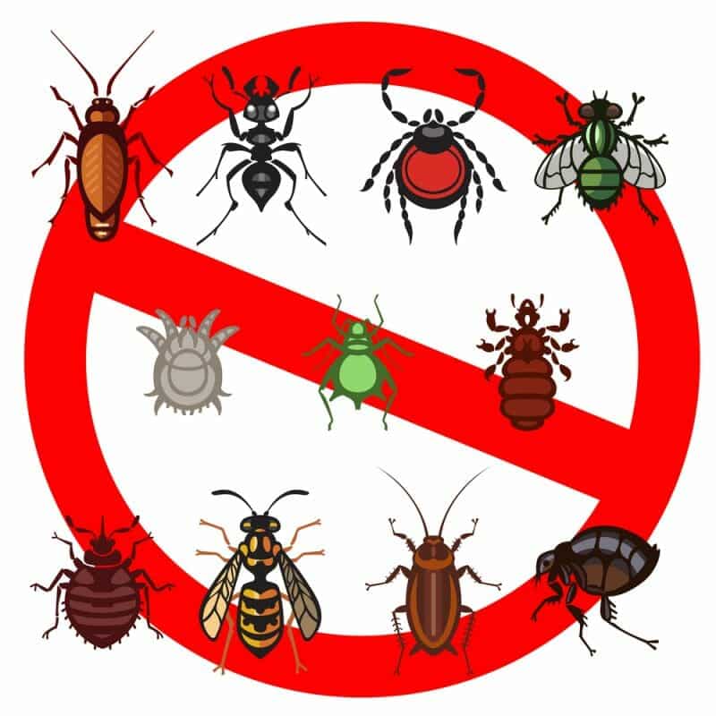 No Insects Sign