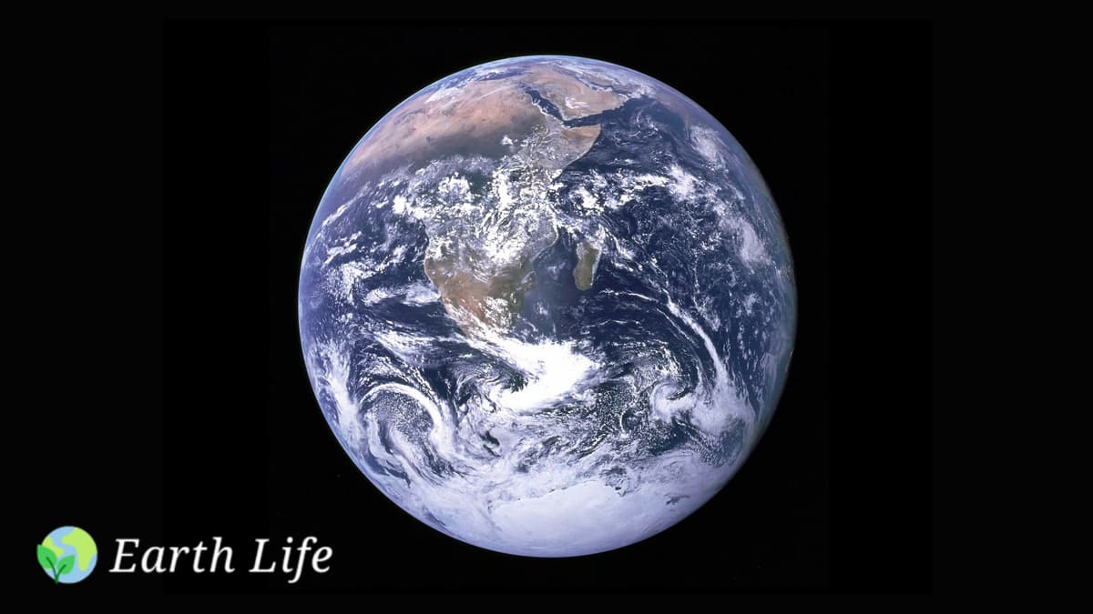 Earth Life Earth From Space About Us
