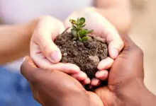 Eco-Friendly Gardening