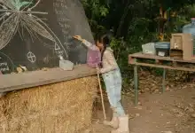 Education for Sustainable Development