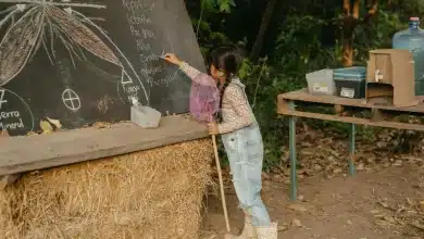 Education for Sustainable Development