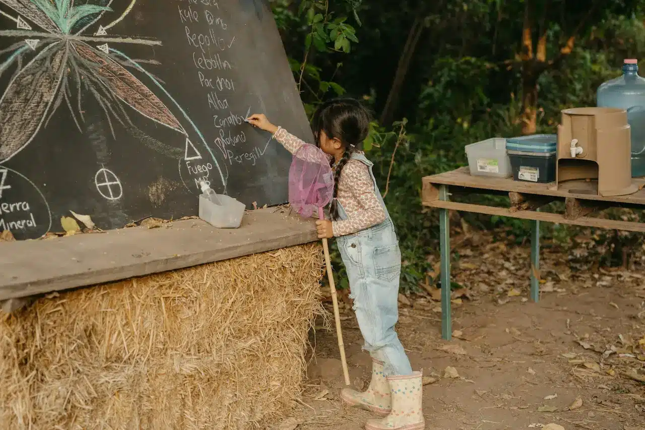 Education for Sustainable Development