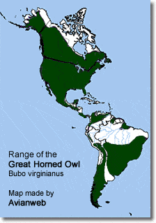 Range of the Great Horned Owls (Bubo virginianus)