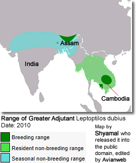 Range of Greater Adjutant 