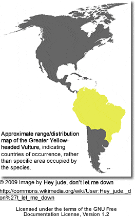 Greater Yellow- headed Vulture range