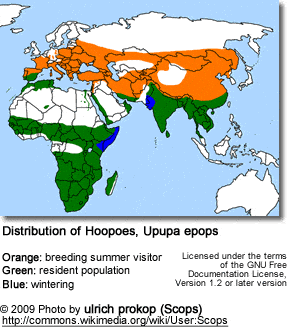 Distribution of Hoopoes, Upupa epops