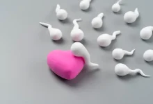 How the Environment Affects Reproductive Health