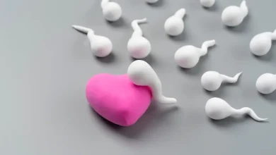 How the Environment Affects Reproductive Health