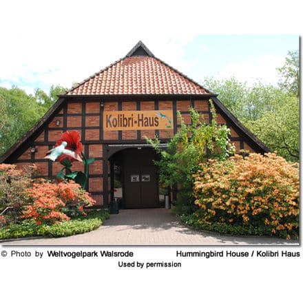 Photo of the Hummingbird House (Kolibri-Haus) in Weltvogelpark Walsrode. The building is quaint with a wooden exterior, surrounded by lush greenery and vibrant flowers. A large red flower sculpture adorns the front, typical of the enchanting charm found throughout Walsrode.