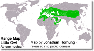 Range Map - Little Owl (Athene noctua)