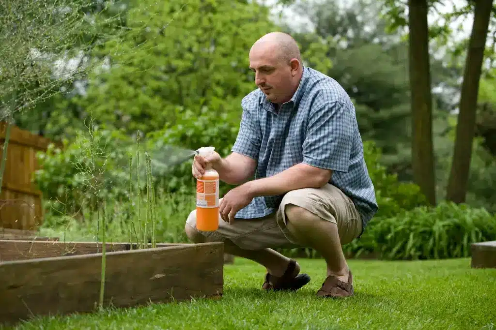 Man Spraying Insecticide On His Plants
