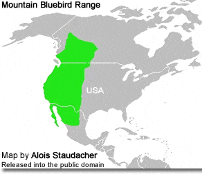 Mountain Bluebird Distribution Map