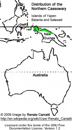 Northern Cassowary distribution