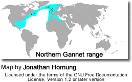 Range of Northern Gannets