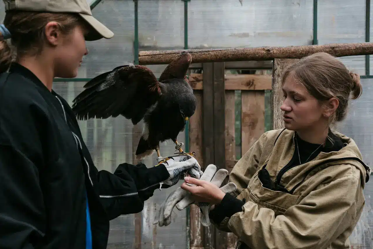 Ornithologist Helping Injured Bird