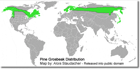 Pine Grosbeak Distribution