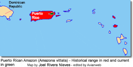 Puerto Rican Amazon (Amazona vittata) - Historical range in red and current in green