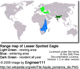 Range map of Lesser Spotted Eagle (Aquila pomarina)