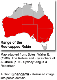 Range of the Red capped robin