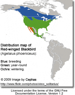 Red-winged Blackbird Distribution Map