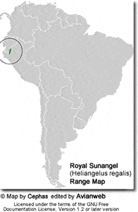 Royal Sunangel (Heliangelus regalis) - Range Map