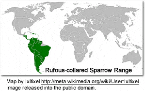 Rufous-collared Sparrow Range