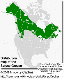 Distribution of the Spruce Goose