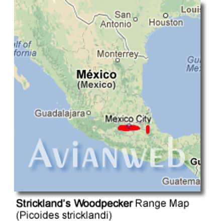 Strickland’s Woodpecker Range Map