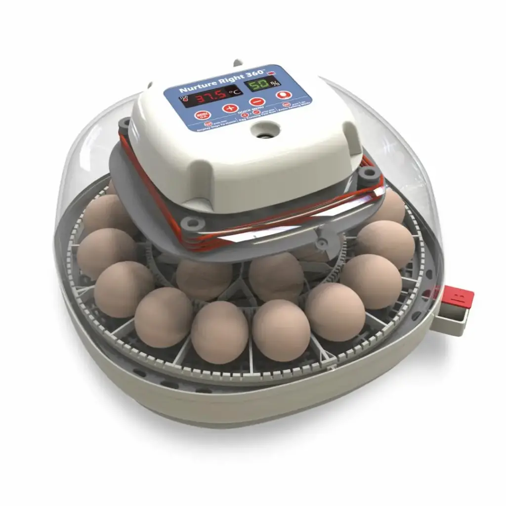 The Best Egg Incubators With Automatic Timer