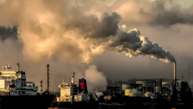 Top Environmental Policy Issues Factory Pollution