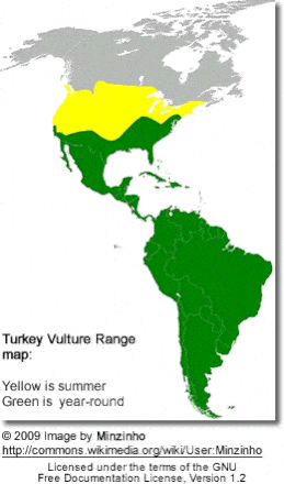 Turkey Vulture Range