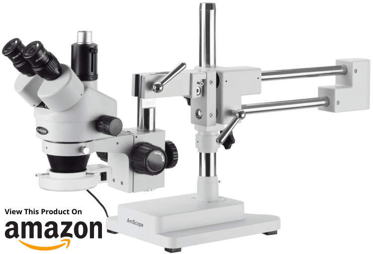 Best Stereo Microscopes For Studying Insects And More Earth Life