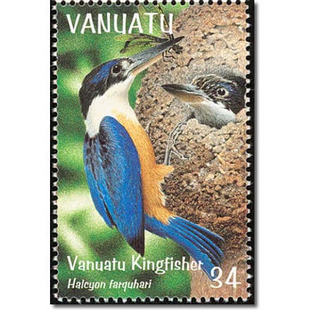 Vanuatu KingfisherTodiramphus farquhari