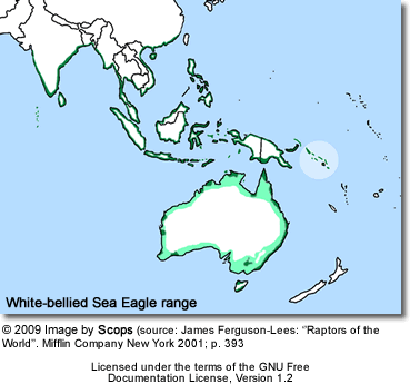 White-bellied Sea Eagle range