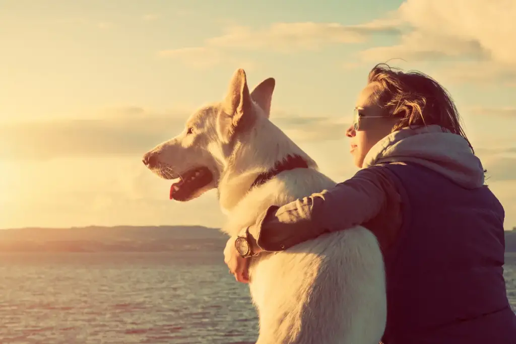 Your Pet's Wellbeing,Woman Hugging Its Dog While Sitting