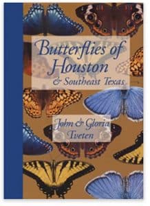 barbara kingsolver book about butterflies