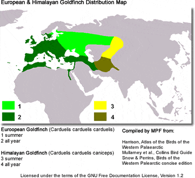 Goldfinch distribution map