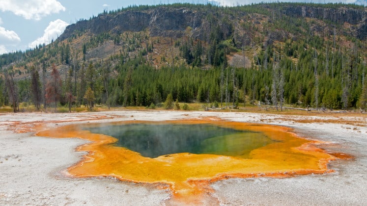 hot spring rife with Crenarchaeota