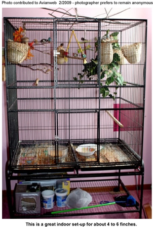 An indoor bird cage housing multiple society finches, adorned with toys and plants. At the bottom of the cage sit two food bowls alongside various scattered items. Adjacent to the setup are several containers and cleaning supplies for easy maintenance.