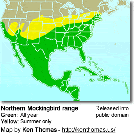 Northern Mockingbird Distribution
