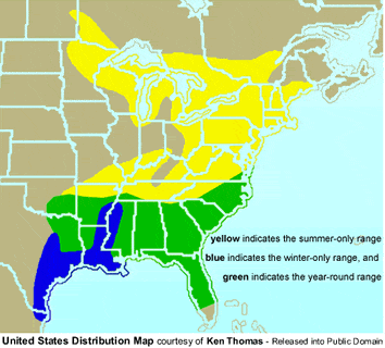 Pine Warbler Distribution Map