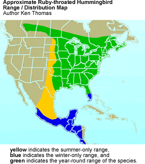 Ruby-throated Hummingbird Distribution