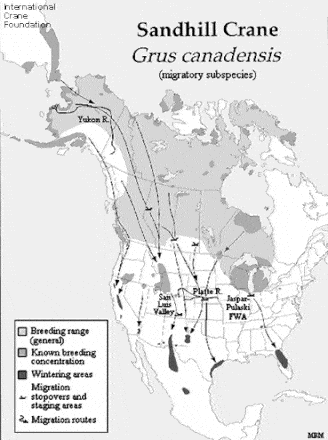 Sandhill Crane Distribution Map